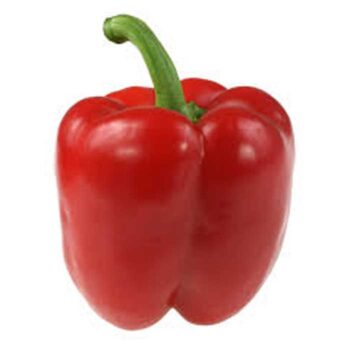 Peberfrugt Rød
