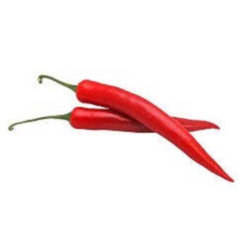 Chili Rød Frisk