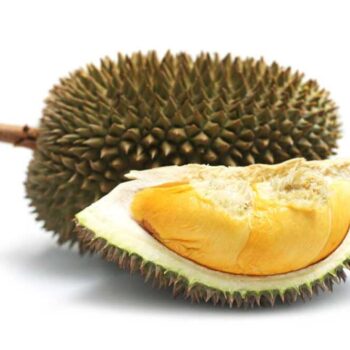 Durian Frugtkød
