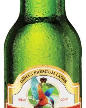 Øl Kingfisher 4,8% 33cl. – Indien