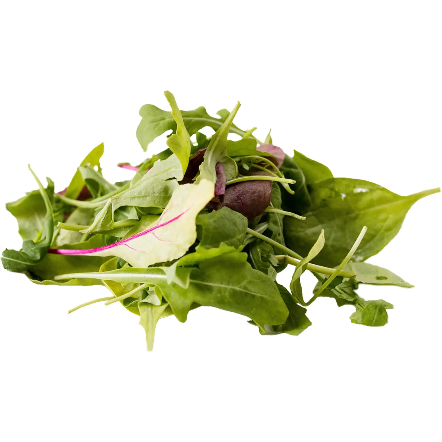 Salatmix Ready2Eat