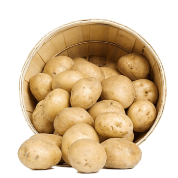 Kartofler Spise Danske