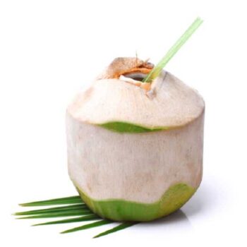 Kokosnød Drikke