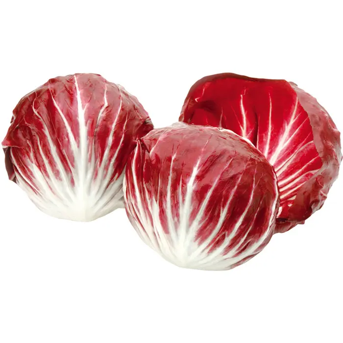 Rød salat Radicchio