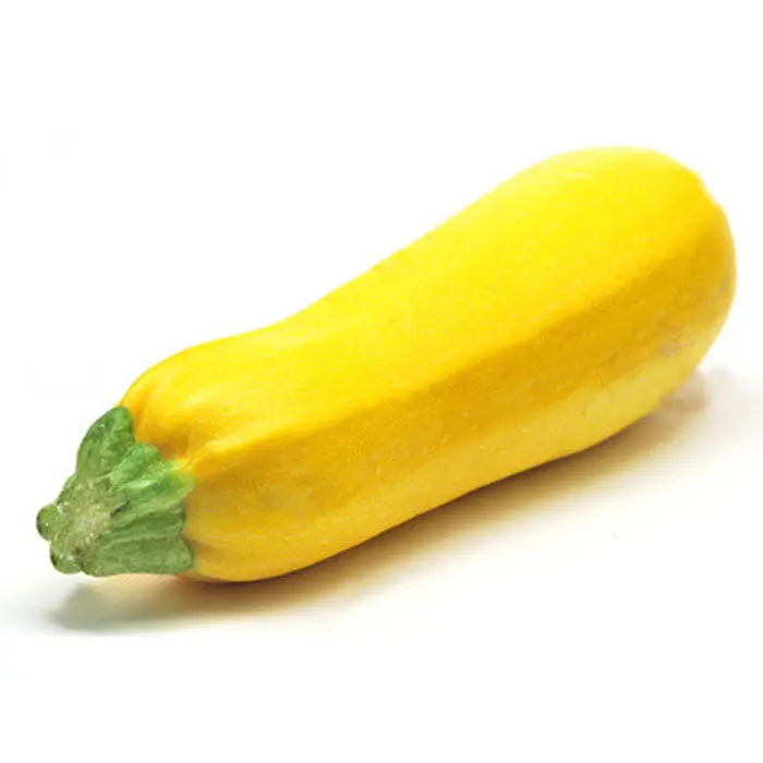 Squash Gul Courgetter