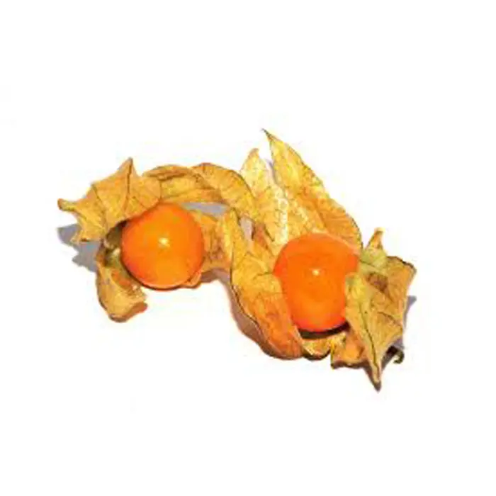 Ananaskirsebær (Physalis)