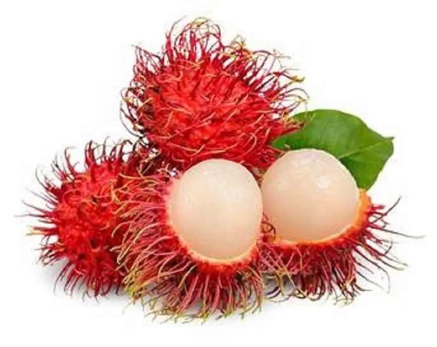 Rambutan