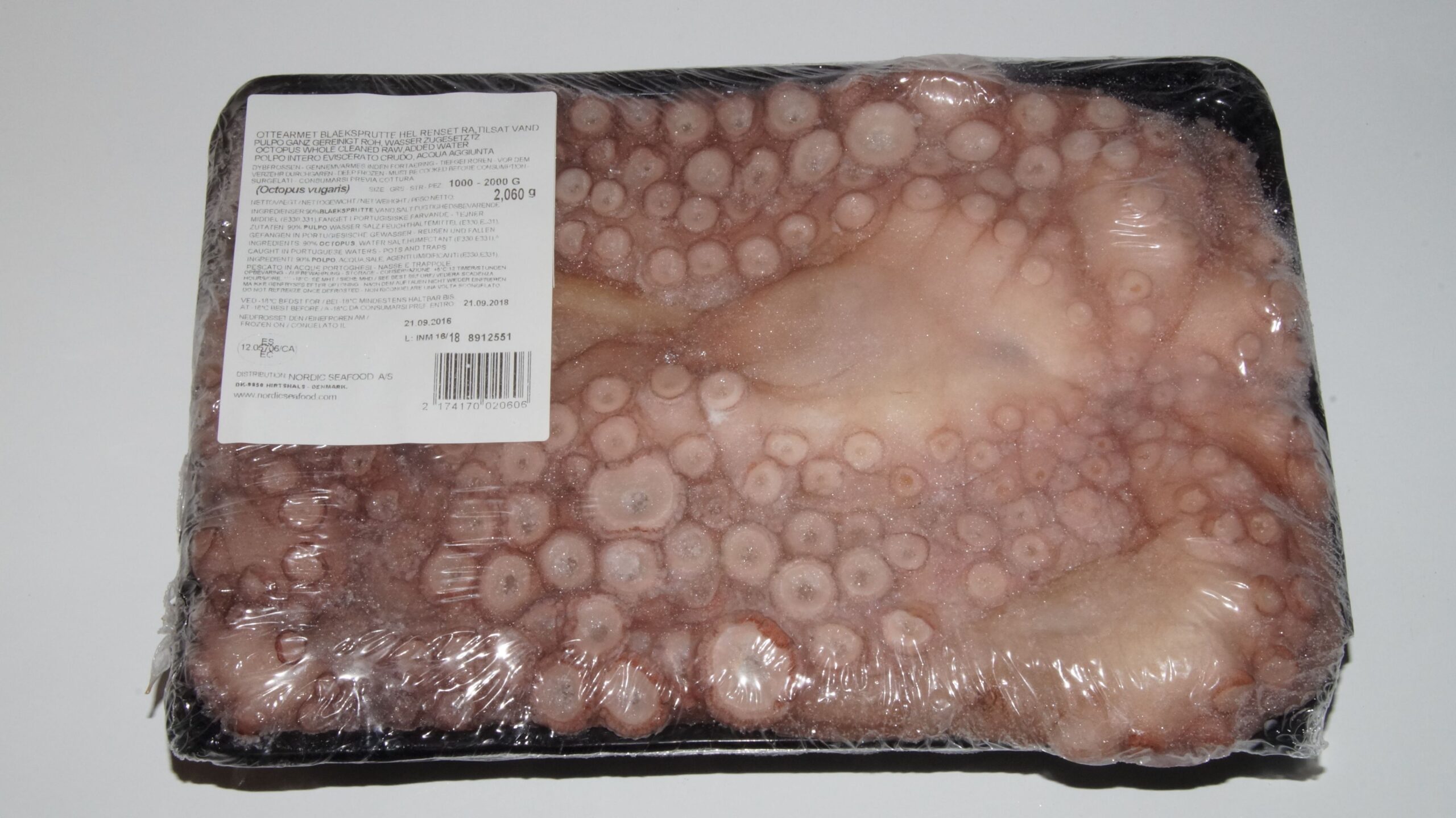 Blæksprutte Octupus vulgaris 1000-2000g