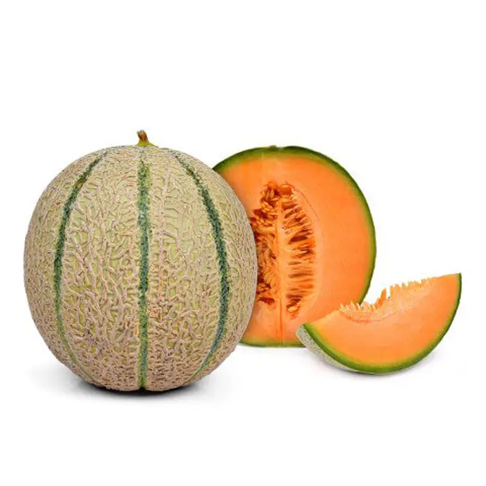 Melon cantaloupe