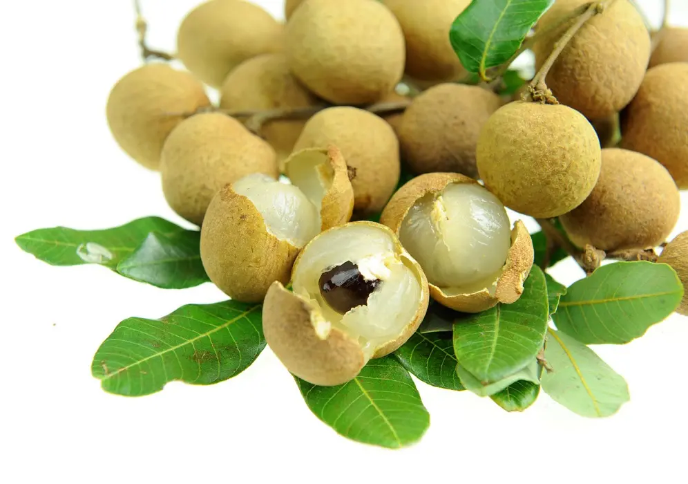 Longan frugt frisk