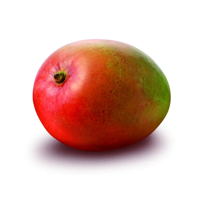 Mango frugt