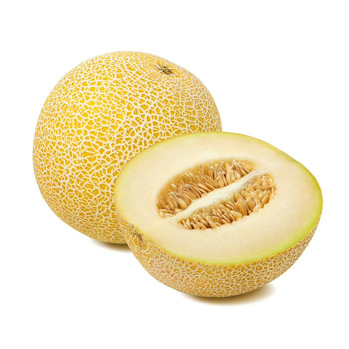 Melon Galia