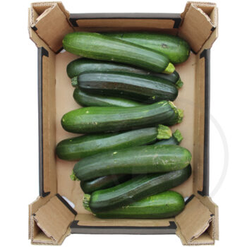 Squash Grøn ( Courgetter )