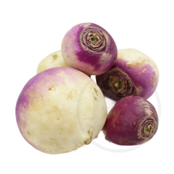 Majroer