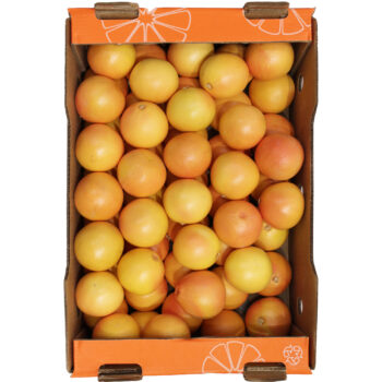 Grapefrugt Rød