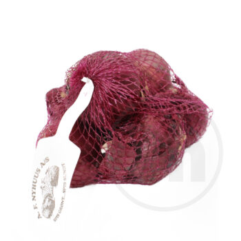 Rødløg