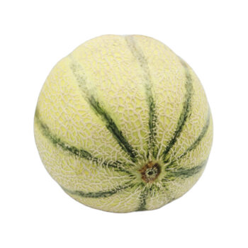 Melon cantaloupe