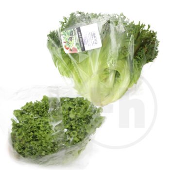 Frillice Salat