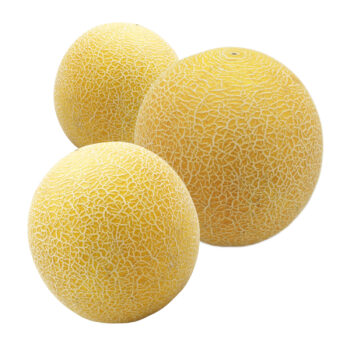 Melon Galia