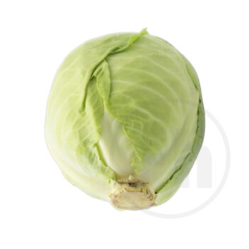 Hvidkål