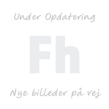 Fjæsing Trachinus draco