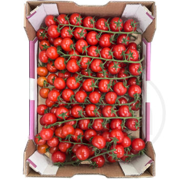 Tomater Cherry m. stilk