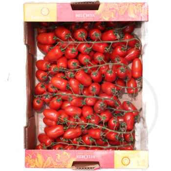 Tomater Cherry San Marzano