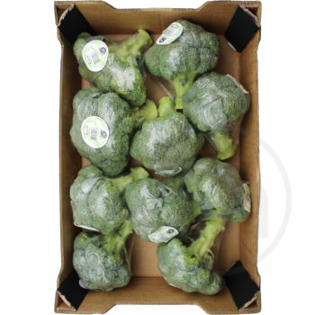 Broccoli
