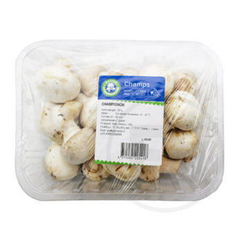 Champignon