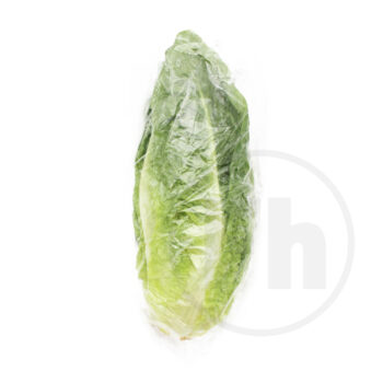 Romaine salat