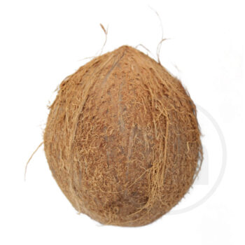 Kokosnød