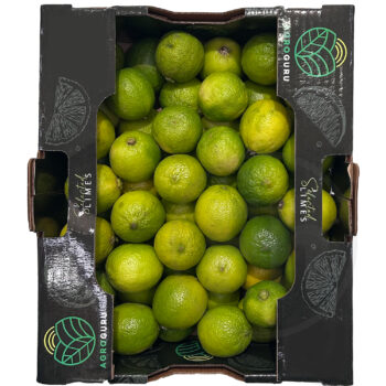 Limefrugt Presse til juice