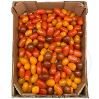 Tomater Cherry Trimix