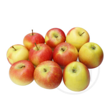 Schweppes Tonic Indian 25cl