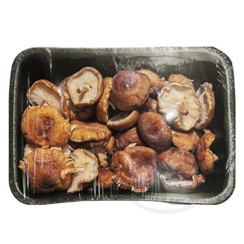 Svampe Shiitake frisk