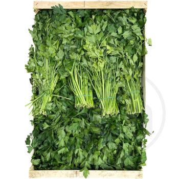 Persille berdbladet 20. bdt.