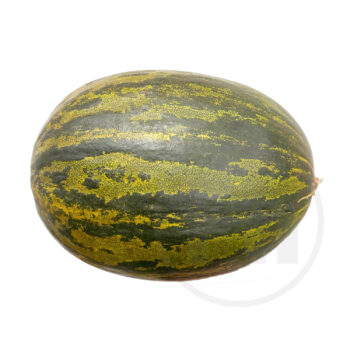 Melon Piel De sapo