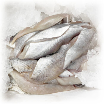 Skægtorskefilet M Trisopterus Luscus