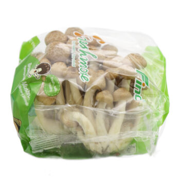 Svampe Bøgehatte brun