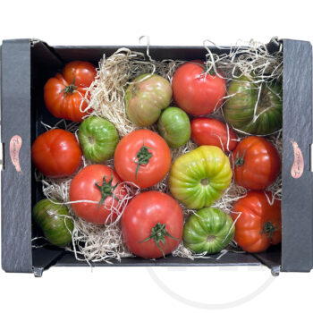 Tomater Inca / Wildmix