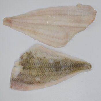 Rødspættefilet naturel 80-120 g MSC