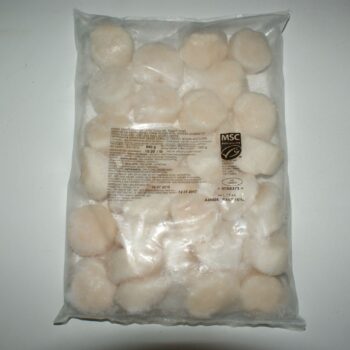 Kammuslinger / Scallops 10/20