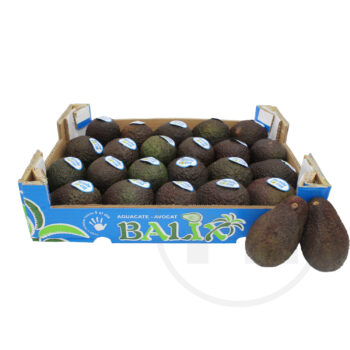 Avocado Ready2Eat Trops/Balix 22 stk.