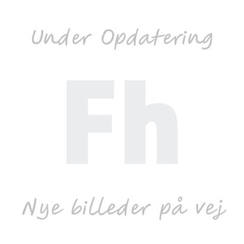 Multe tyklæbet Chelon labrosus